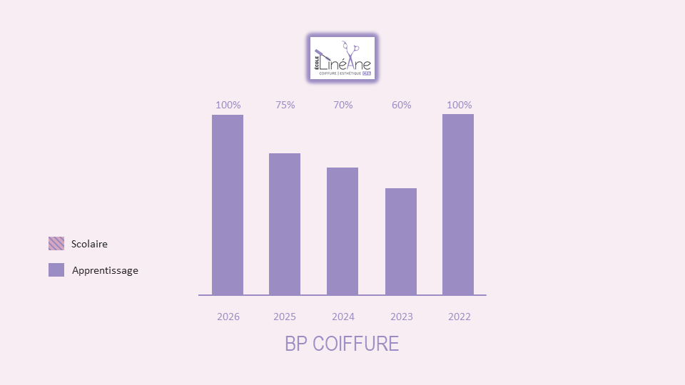 Diagramme Reussite Exam BP Coiffure2026